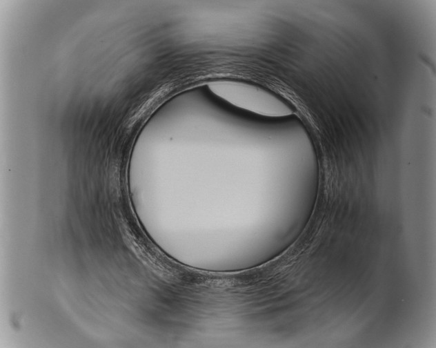 X0000101680482200807101148