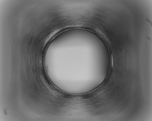 X0000101680483200807101148