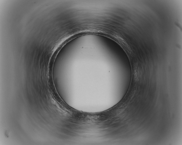 X0000101680484200807101148