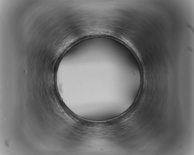 X0000101680485200807101148
