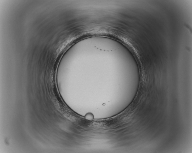 X0000101680487200807101148