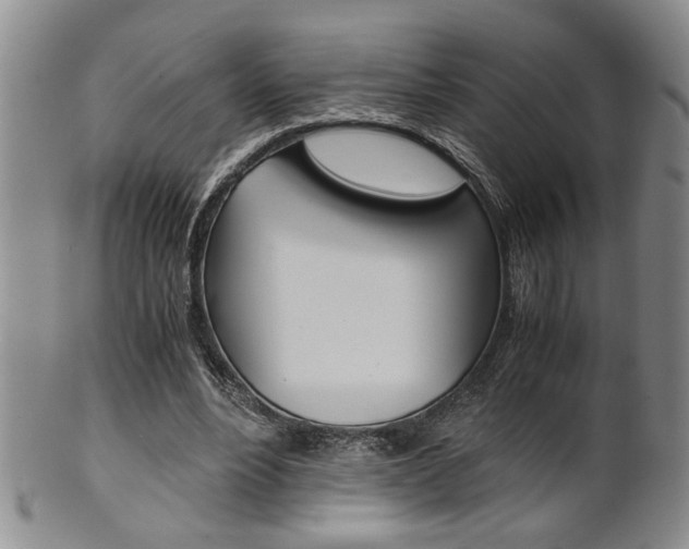 X0000101680488200807101148