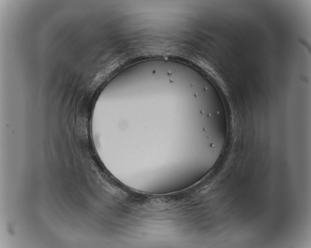 X0000101680489200807101148
