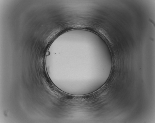 X0000101680491200807101148