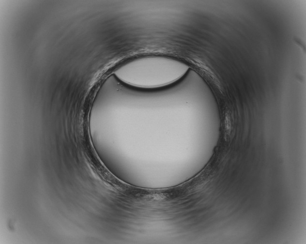 X0000101680492200807101148