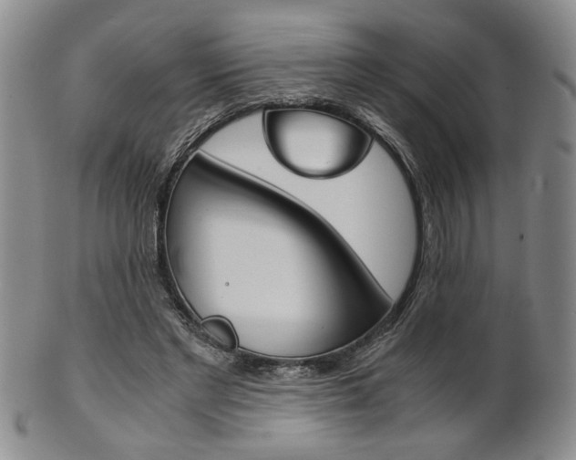 X0000101680493200807101148