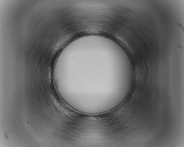 X0000101680494200807101148