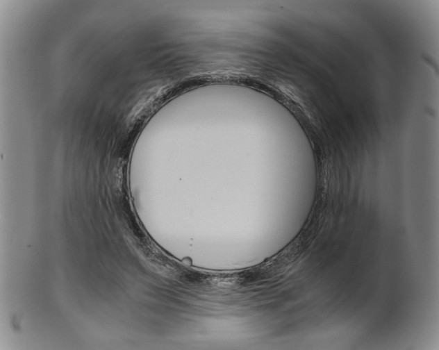 X0000101680495200807101148