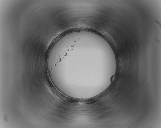 X0000101680496200807101148