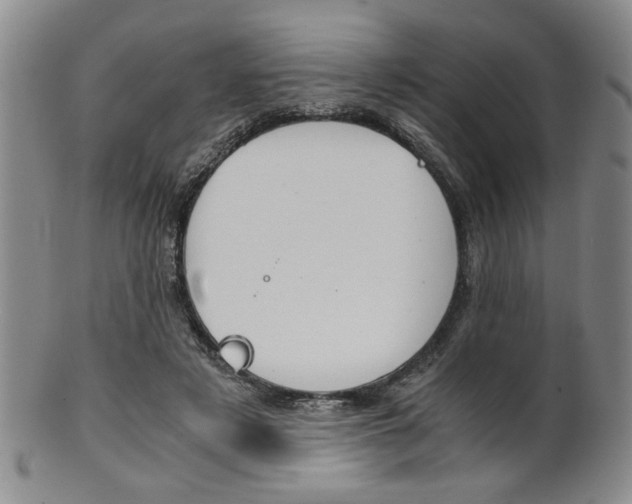 X0000101680497200807101148