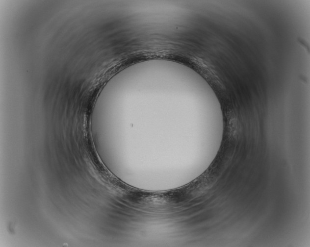 X0000101680498200807101148