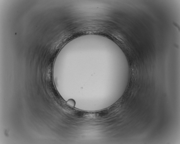 X0000101680499200807101148