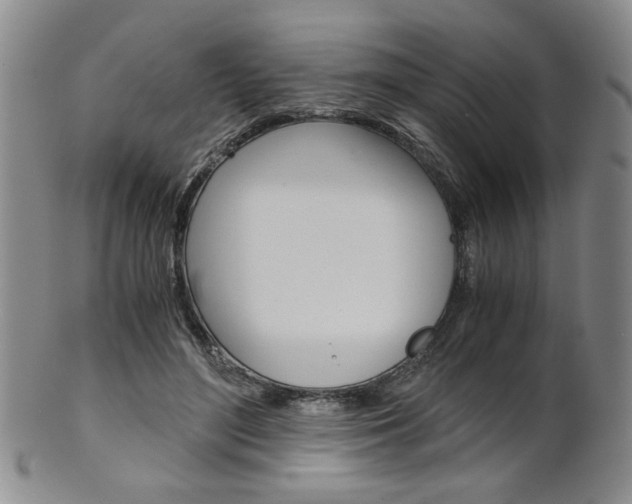 X0000101680500200807101148