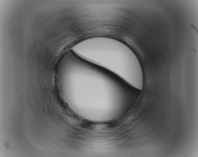 X0000101680501200807101148