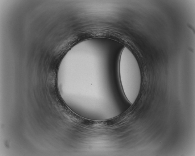 X0000101680505200807101148
