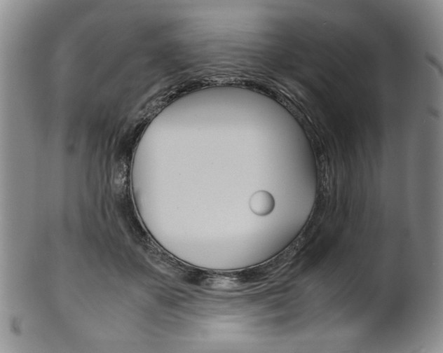 X0000101680507200807101148