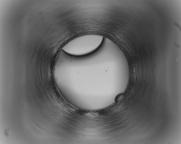 X0000101680508200807101148