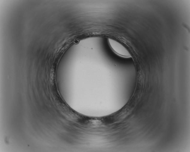 X0000101680509200807101148