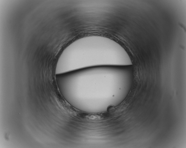 X0000101680512200807101148