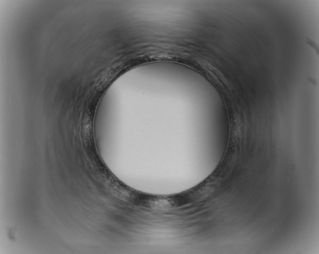 X0000101680513200807101148