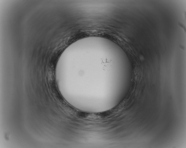 X0000101680515200807101147