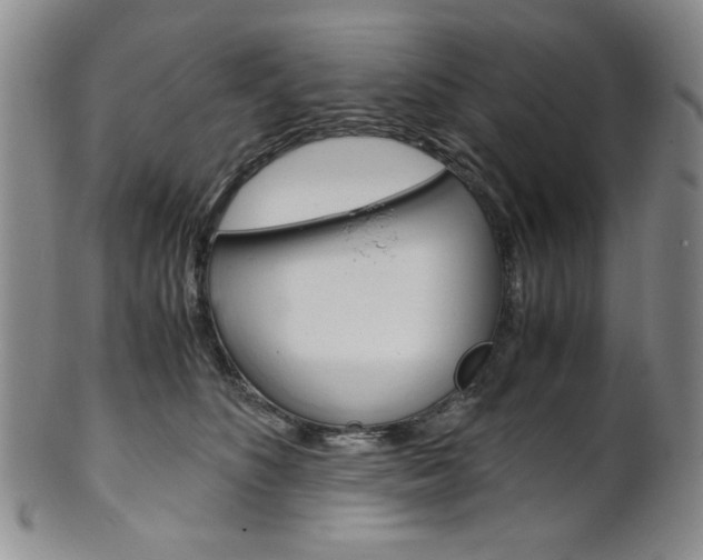 X0000101680516200807101147