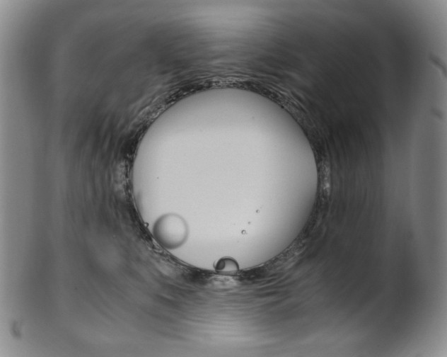 X0000101680519200807101147