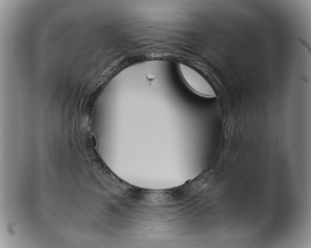 X0000101680521200807101147