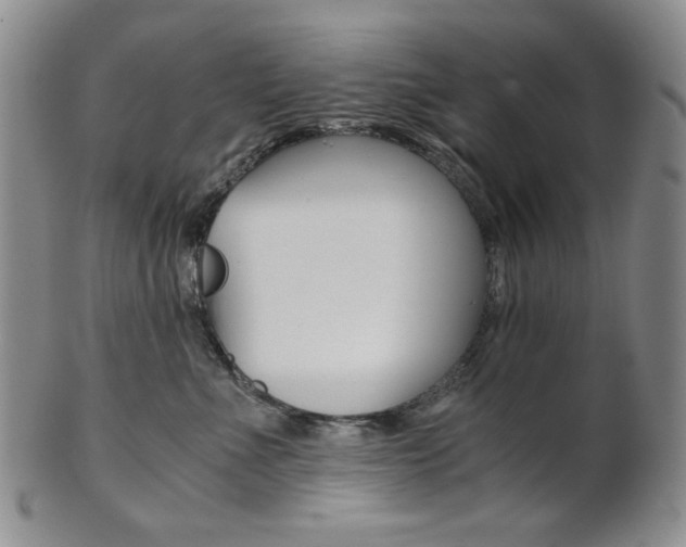X0000101680523200807101147