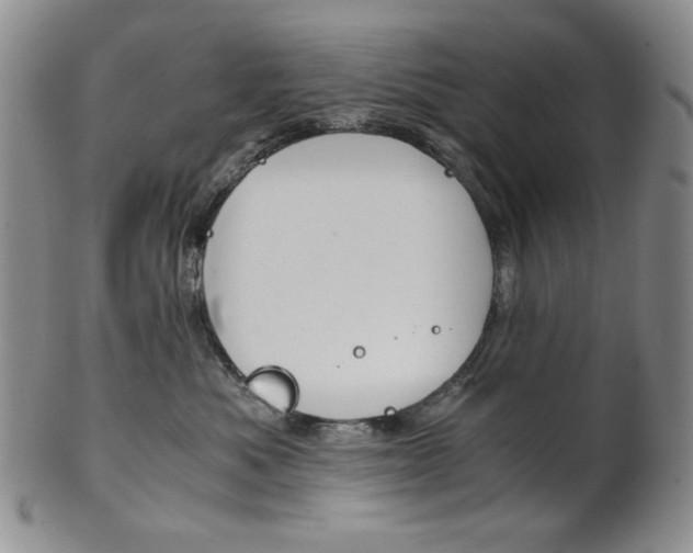 X0000101680525200807101147