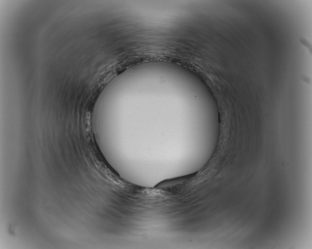 X0000101680528200807101147