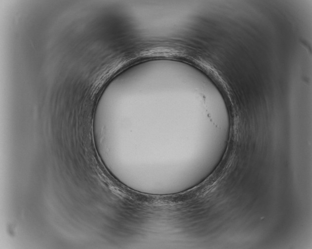 X0000101680529200807101147