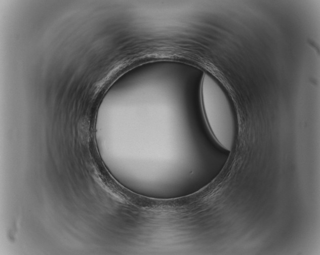 X0000101680530200807101147