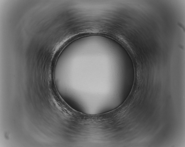 X0000101680532200807101147