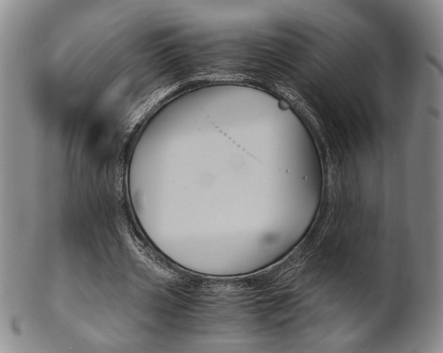 X0000101680533200807101147