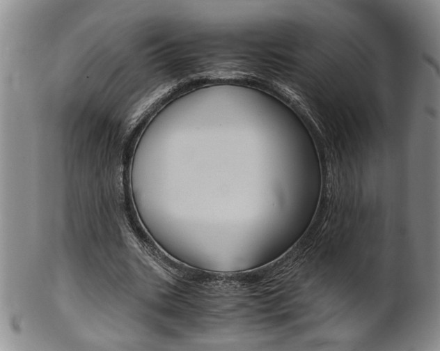 X0000101680535200807101147