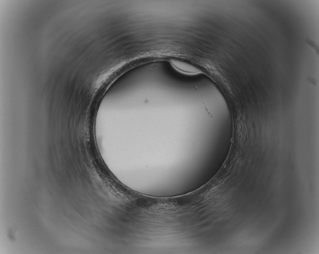 X0000101680536200807101147