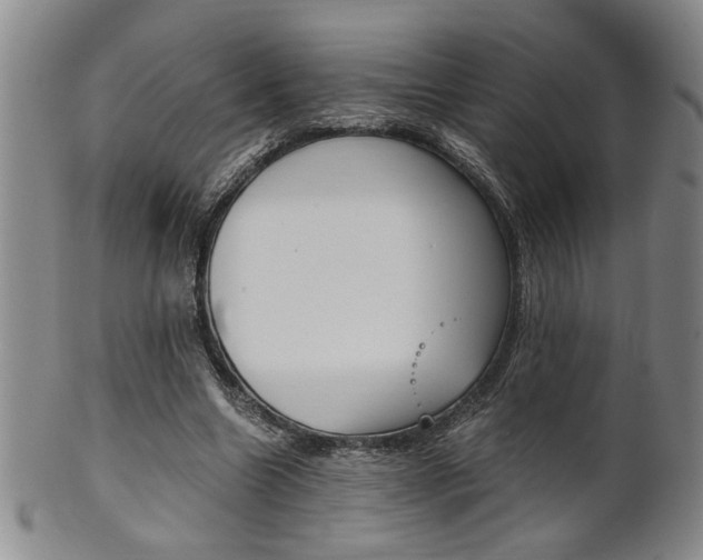 X0000101680538200807101147