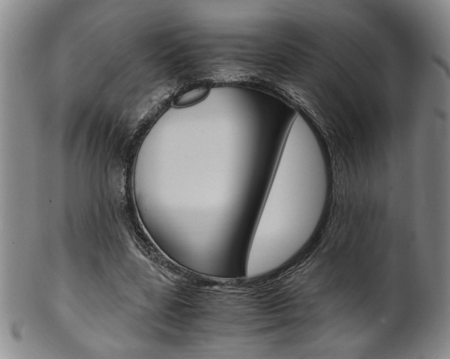 X0000101680539200807101147