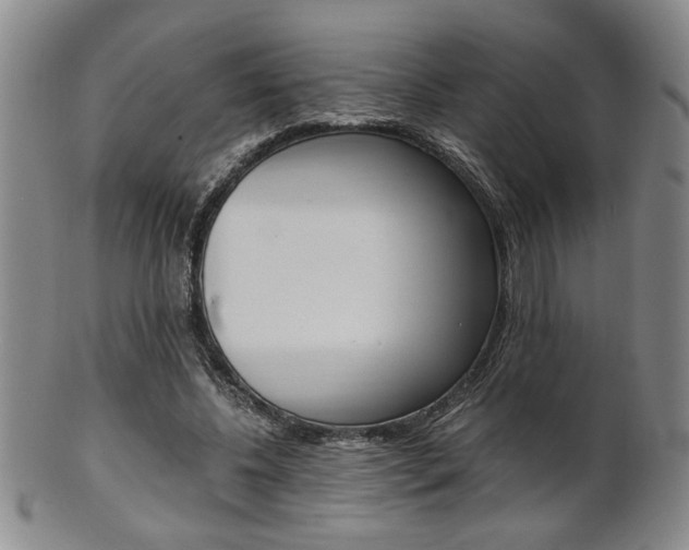 X0000101680540200807101147