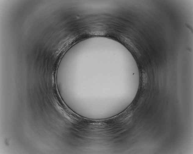 X0000101680541200807101147