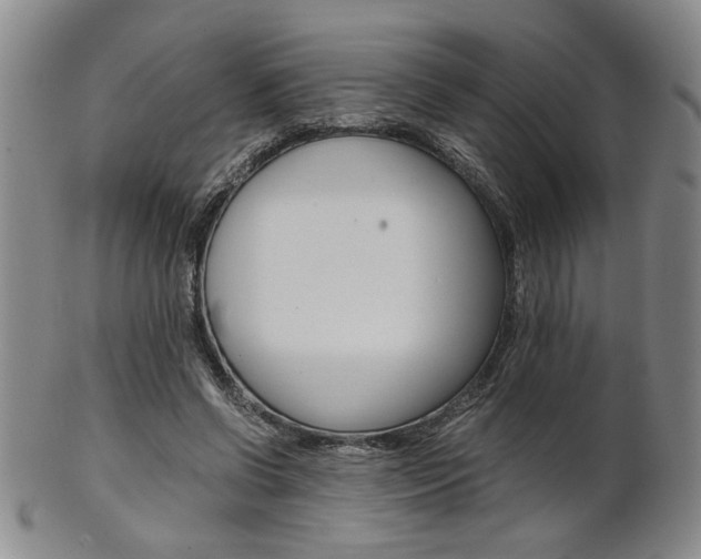 X0000101680542200807101147
