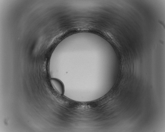 X0000101680543200807101147
