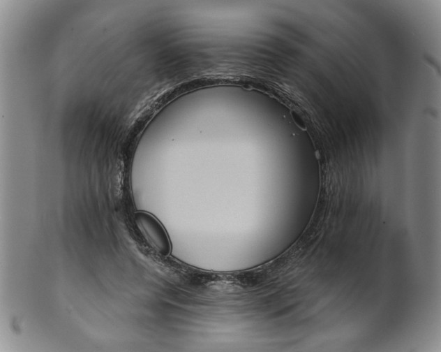 X0000101680544200807101147