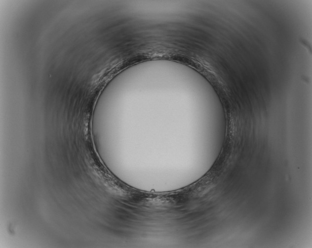 X0000101680545200807101147