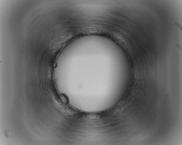 X0000101680546200807101147