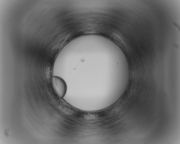 X0000101680549200807101147