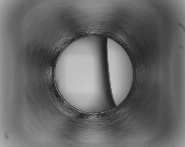 X0000101680550200807101147
