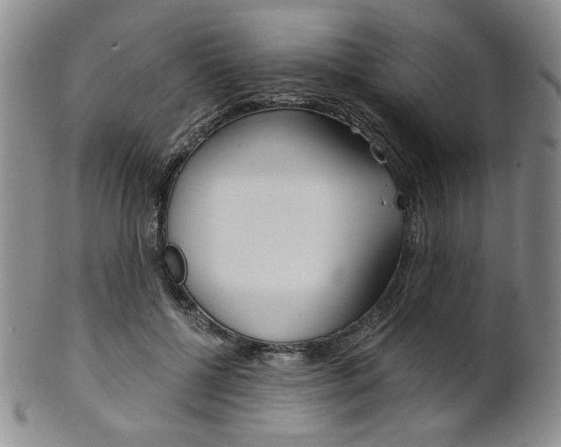 X0000101680552200807101147