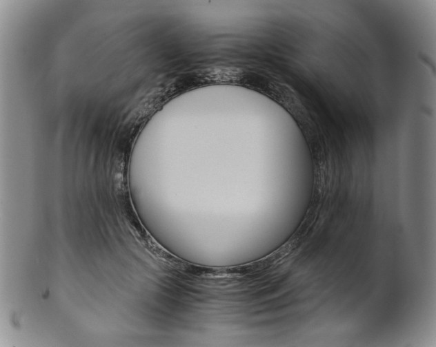X0000101680553200807101147